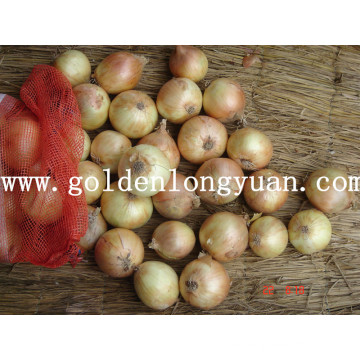 Fresh Wholesale Yellow Onion